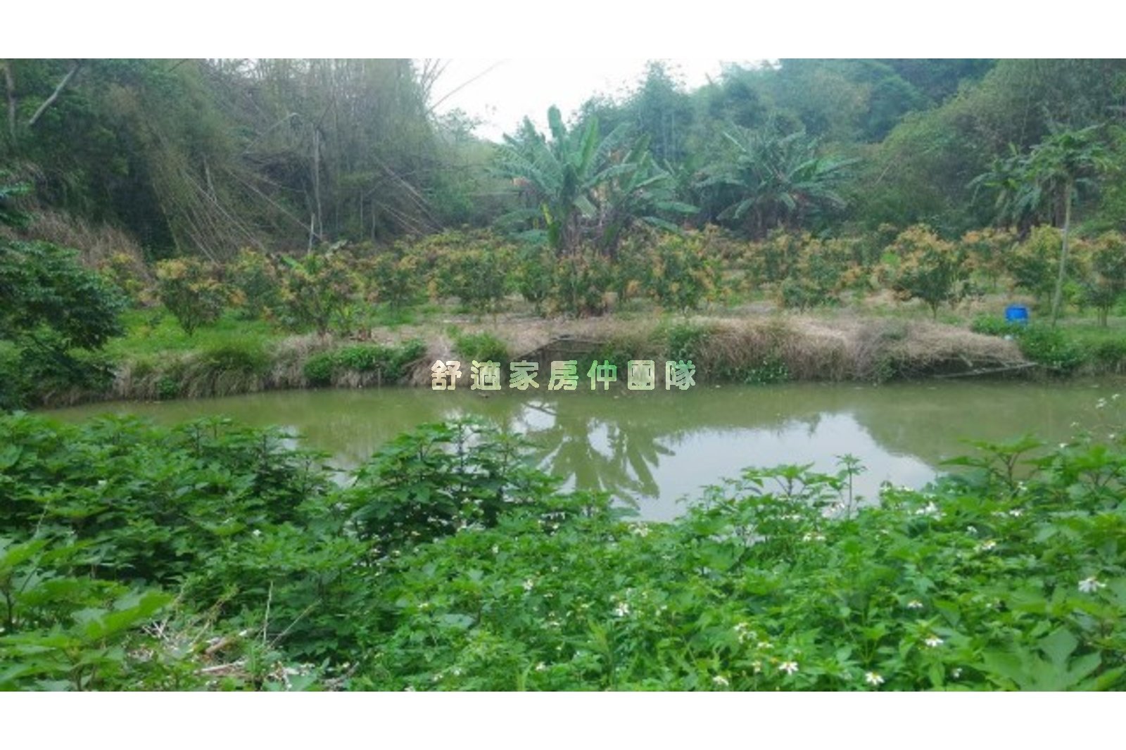 左鎮草山農地