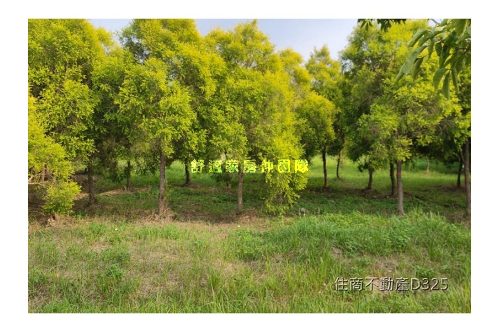 六甲區一分都內農地A