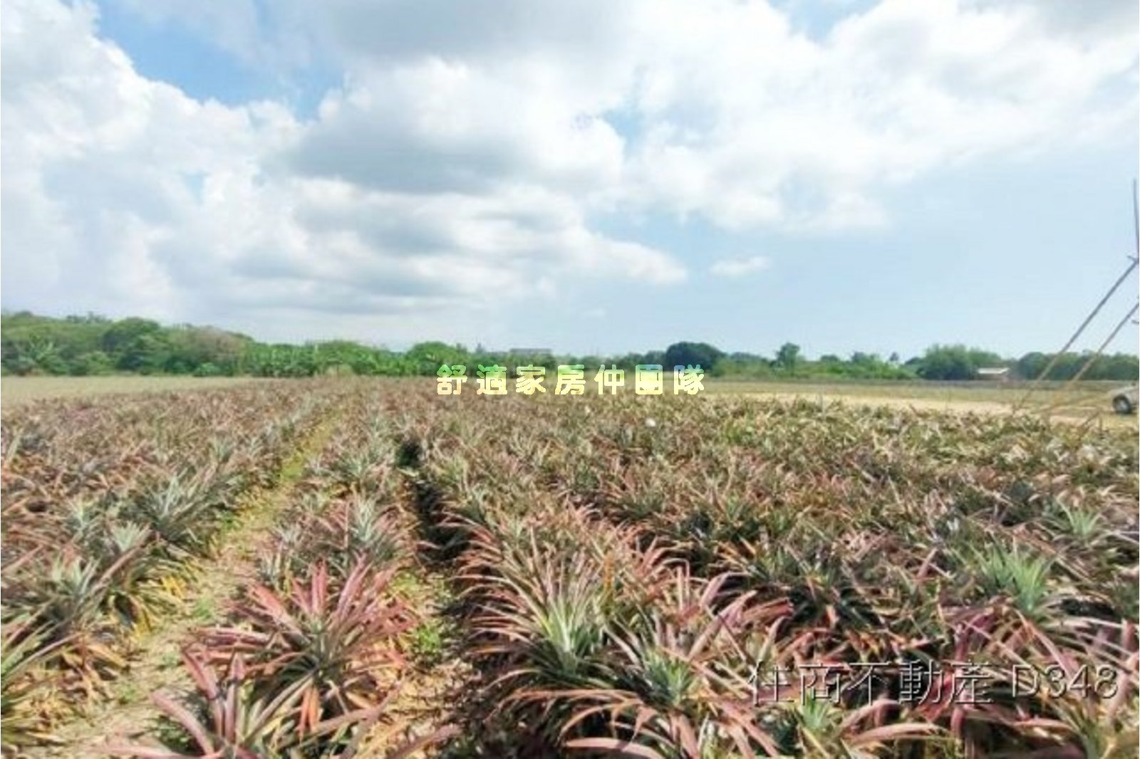 山上區.15米路邊.一般農