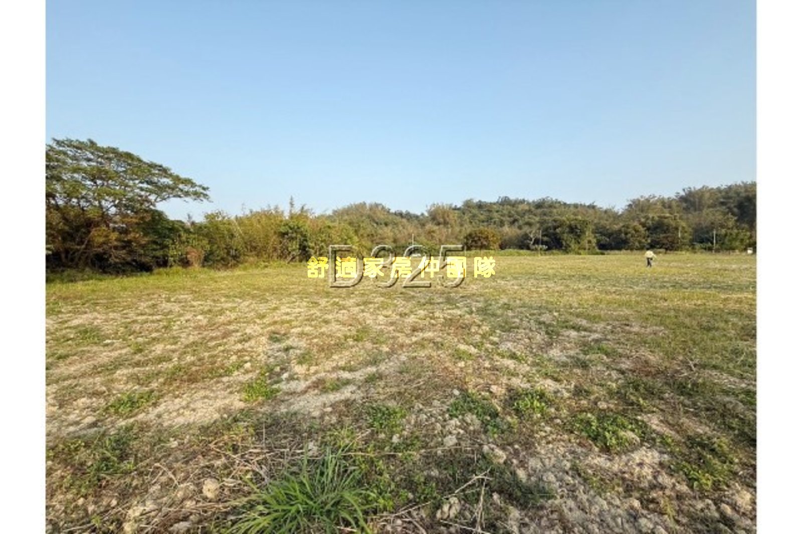 六甲12米路大面寬有電農業地