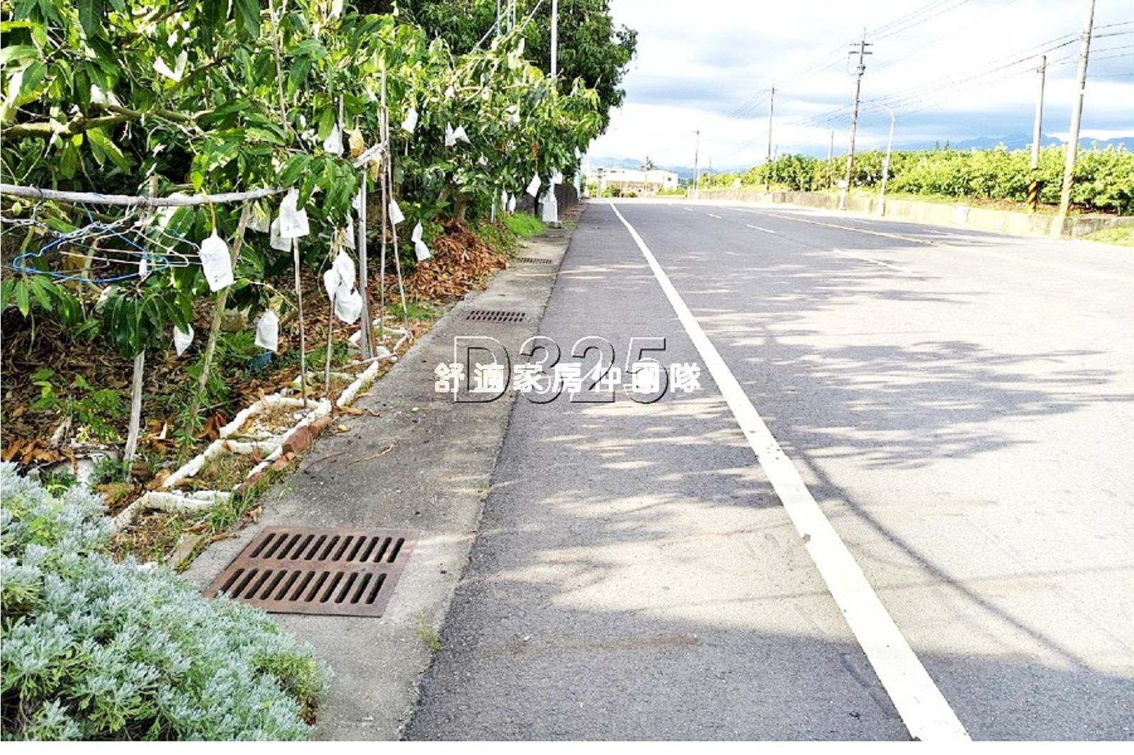 玉井芒子芒段持分優質農地