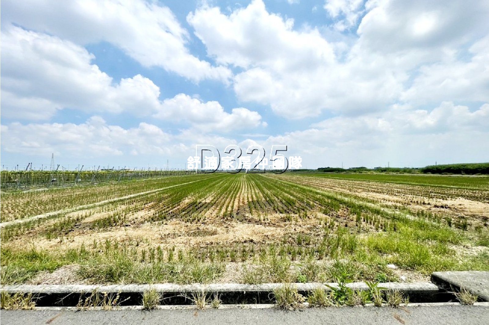 後壁優質稻米田1.5分美農地 